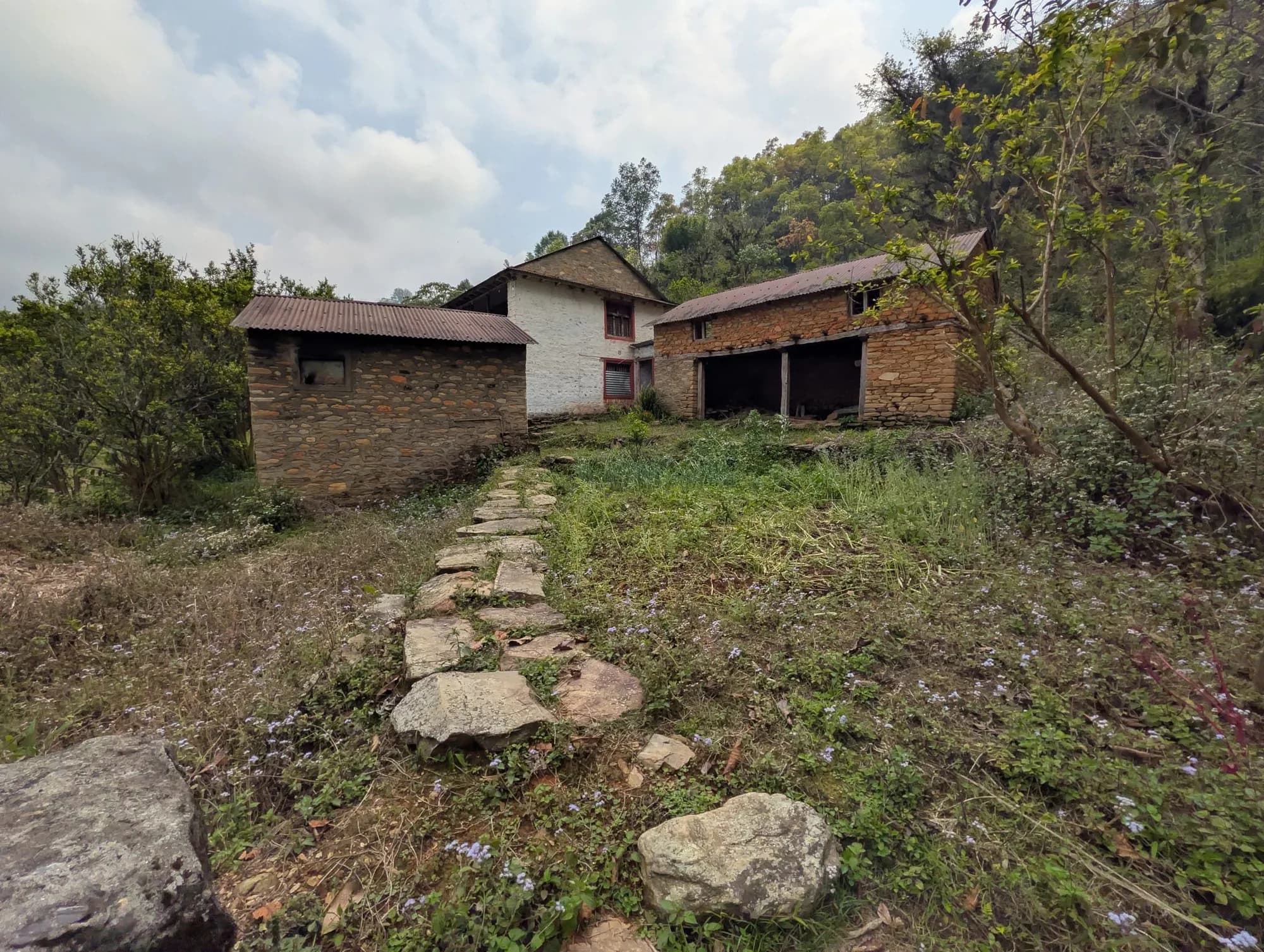 La Grange, photo 1
